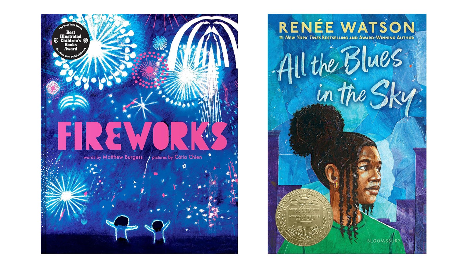<em>Fireworks,</em> by Matthew Burgess and illustrated by Cátia Chien has won the Caldecott Medal for the most distinguished American picture book for children, and <em>All the Blues in the Sky,</em> written by Renée Watson has been awarded the Newbery Medal for the most outstanding contribution to children